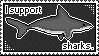shark GIF